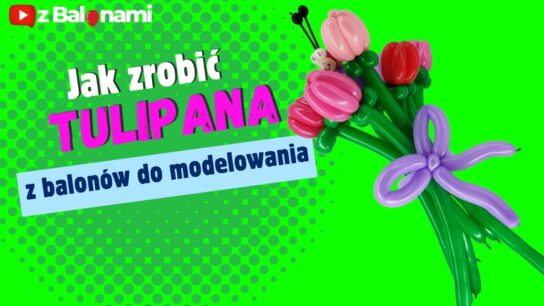 Balon figórki z balonów jak zrobić tulipana z balonów