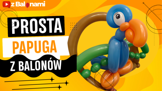 Jak zrobić papugę z balonów do skręcania i modelowania